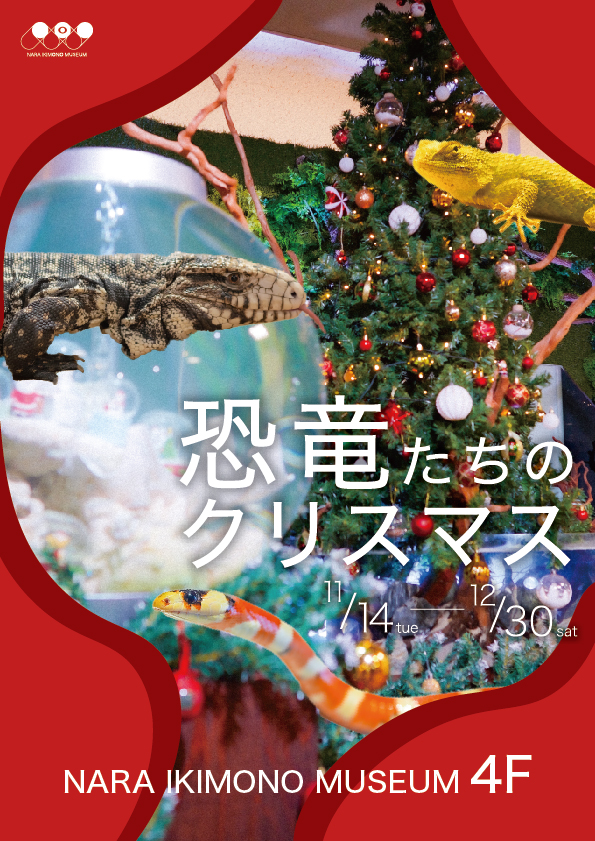 NARA IKIMONO MUSEUM クリスマスイベント【恐竜たちのクリスマス