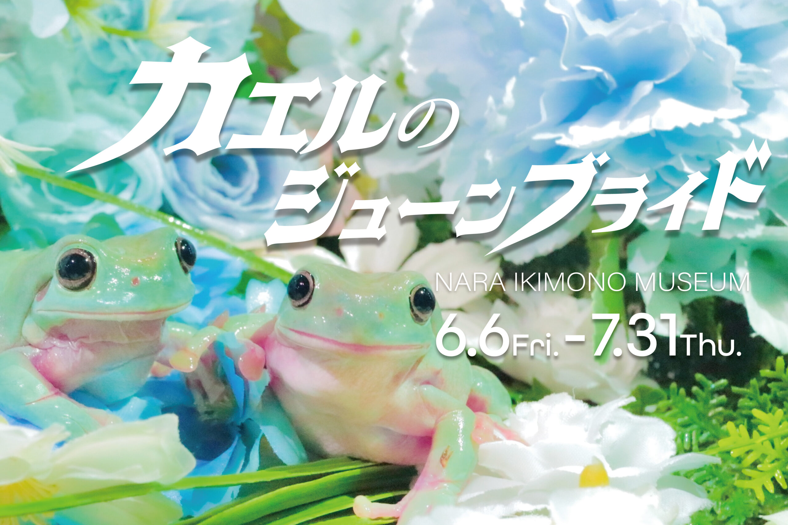 梅雨イベント「カエルのジューンブライド」 | 奈良県奈良市にある100